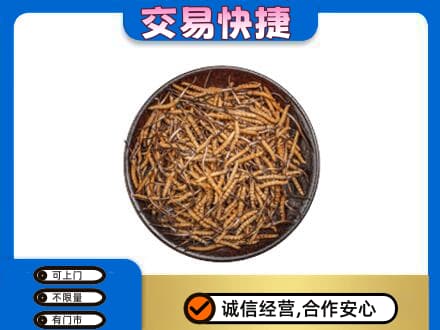 温州高价回收散虫草